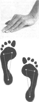 �������� - ������� - ���� �����