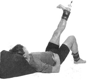 �������� - ������� - ���� �����