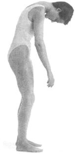 �������� - ������� - ���� �����