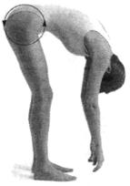 �������� - ������� - ���� �����