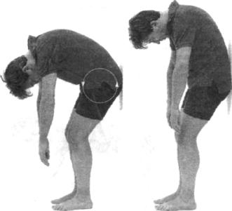 �������� - ������� - ���� �����