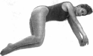 �������� - ������� - ���� �����