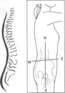 �������� - ������� - ���� �����