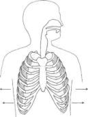 �������� - ������� - ���� �����