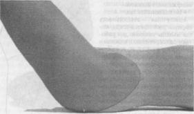 �������� - ������� - ���� �����