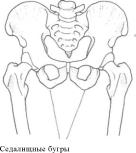 �������� - ������� - ���� �����