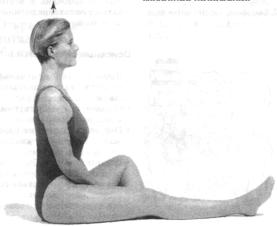 �������� - ������� - ���� �����