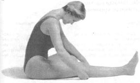 �������� - ������� - ���� �����