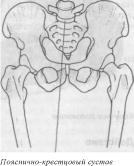 �������� - ������� - ���� �����