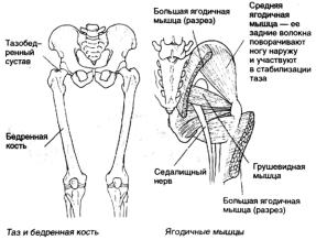 �������� - ������� - ���� �����