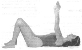 �������� - ������� - ���� �����