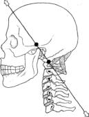 �������� - ������� - ���� �����