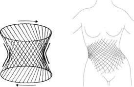 �������� - ������� - ���� �����