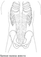 �������� - ������� - ���� �����