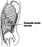 �������� - ������� - ���� �����