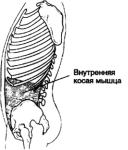 �������� - ������� - ���� �����