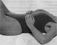 �������� - ������� - ���� �����