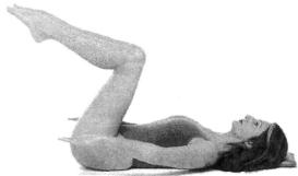 �������� - ������� - ���� �����