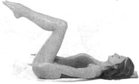 �������� - ������� - ���� �����