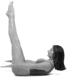 �������� - ������� - ���� �����