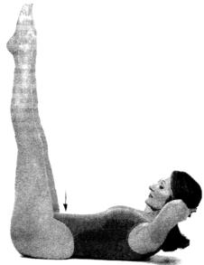 �������� - ������� - ���� �����