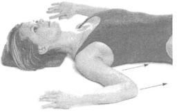 �������� - ������� - ���� �����