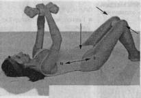 ����� ���������� ������� �����