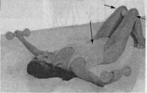 ����� ���������� ������� �����