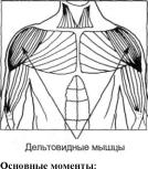 ����� ���������� ������� �����