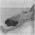 ����� ���������� ������� �����