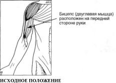 ����� ���������� ������� �����