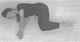 ����� ���������� ������� �����