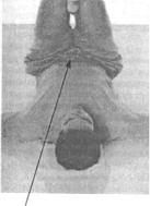 ������������������������