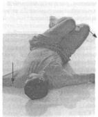 ������������������������