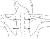 ������������������������