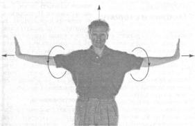 ������������������������