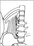 ������������������������