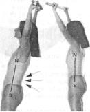 ������� �����