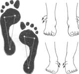 �������� �������