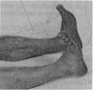 �������� �������