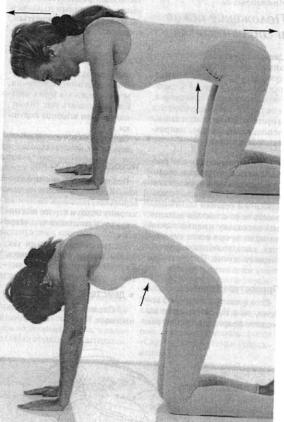 �������� �������