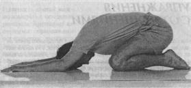 �������� �������