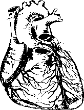 ����� - ����������� ����������� ���������������� �������