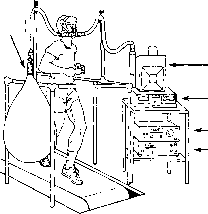 ����� - ����������� ����������� ���������������� �������