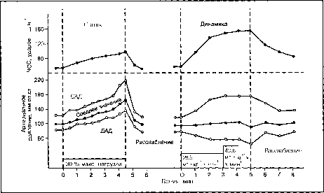����� - ����������� ����������� ���������������� �������