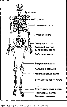 ����� - ����������� ����������� ���������������� �������