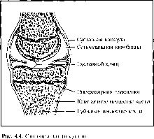 ����� - ����������� ����������� ���������������� �������