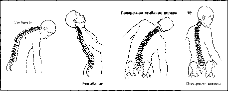 ����� - ����������� ����������� ���������������� �������