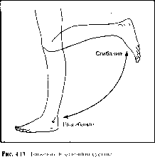 ����� - ����������� ����������� ���������������� �������