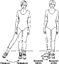 ����� - ����������� ����������� ���������������� �������